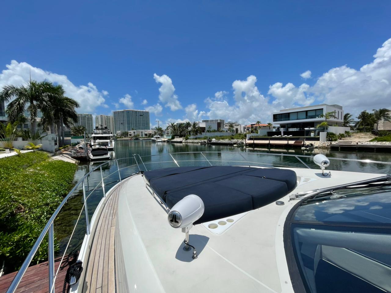 purelife64 (6)